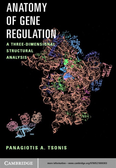 Cover image for book Anatomy of Gene Regulation