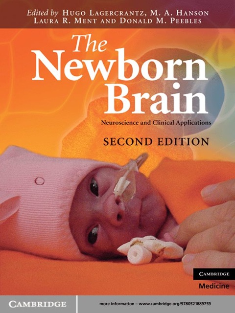 Cover image for book The Newborn Brain