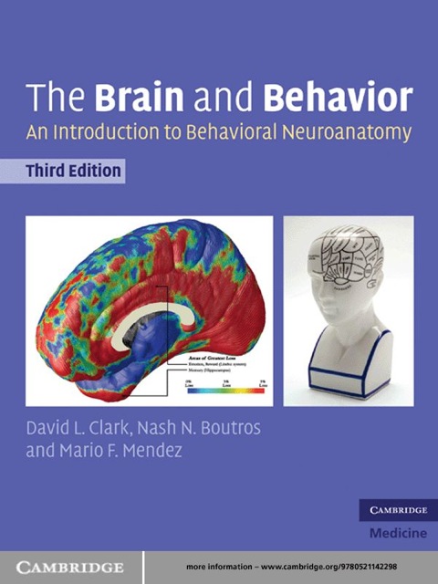 The Brain and Behavior 