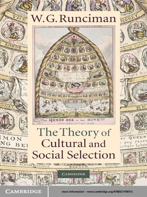Cover image for book The Theory of Cultural and Social Selection