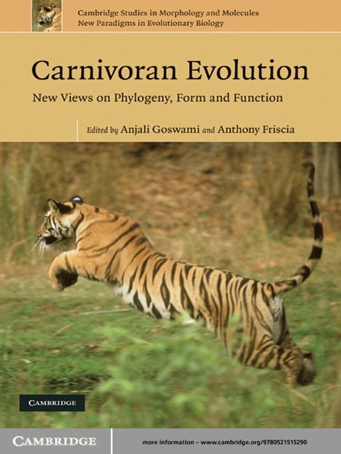 Cover image for book Carnivoran Evolution