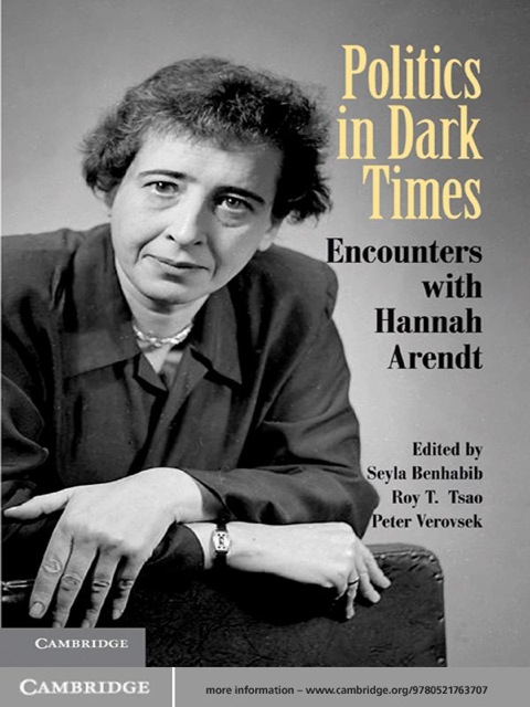 Cover image for book Politics in Dark Times