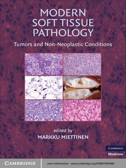 Cover image for book Modern Soft Tissue Pathology