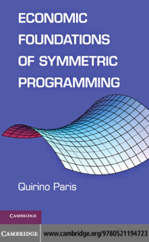 Economic Foundations of Symmetric Programming 