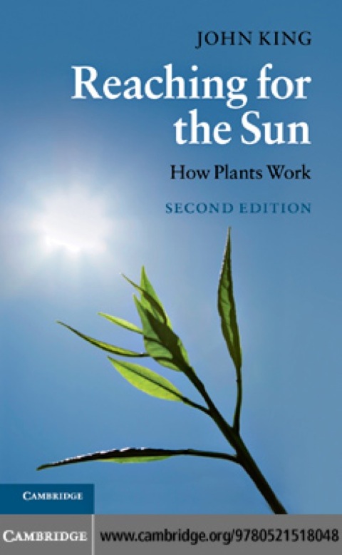 Cover image for book Reaching for the Sun