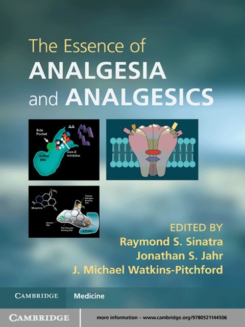 Cover image for book The Essence of Analgesia and Analgesics