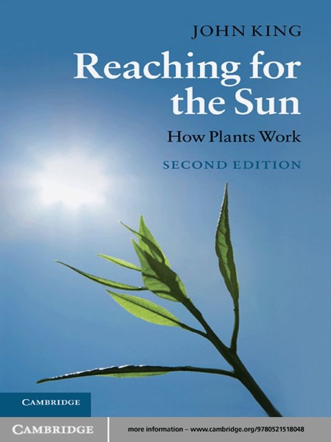 Cover image for book Reaching for the Sun