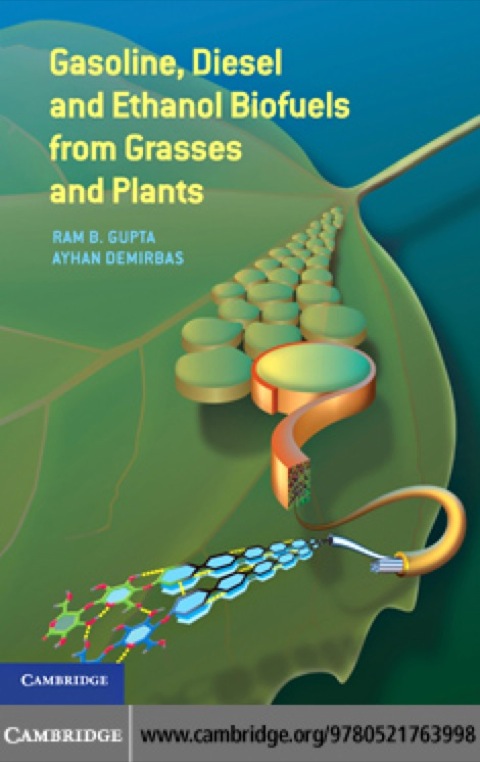Gasoline, Diesel, and Ethanol Biofuels from Grasses and Plants 