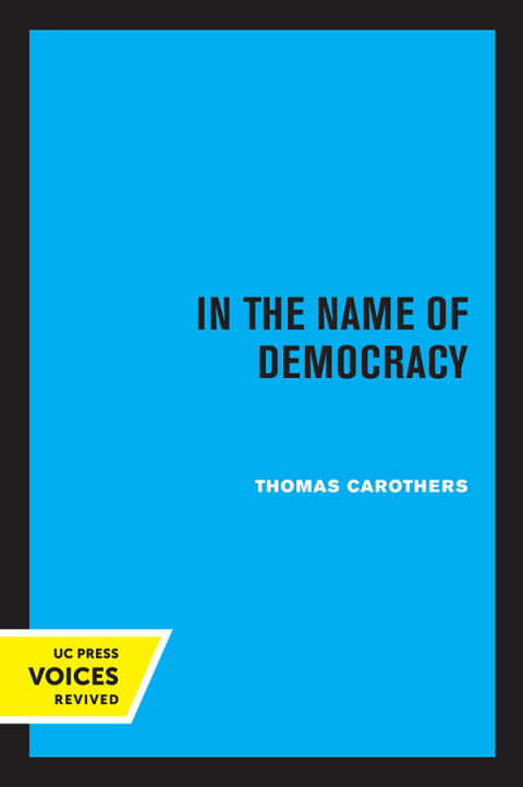 Cover image for book In the Name of Democracy
