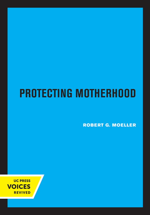 Cover image for book Protecting Motherhood