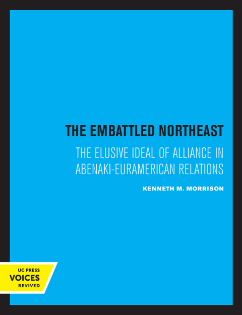 Cover image for book The Embattled Northeast