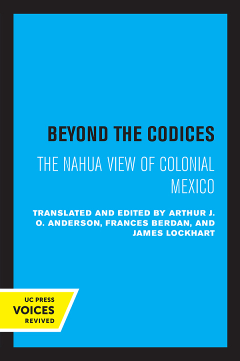 Cover image for book Beyond the Codices