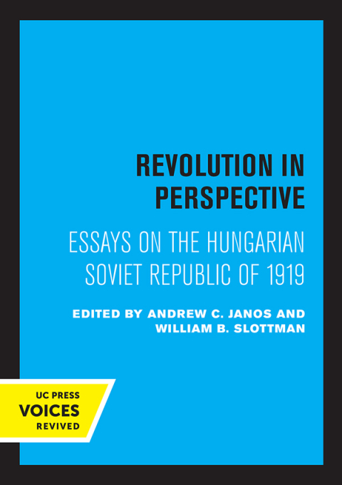 Cover image for book Revolution in Perspective