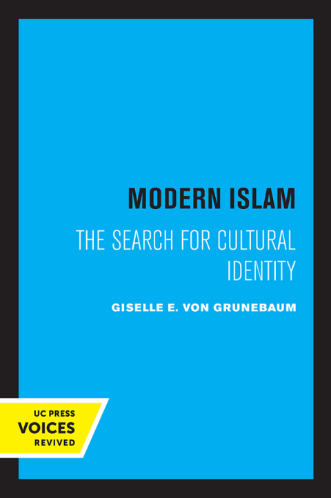 Cover image for book Modern Islam