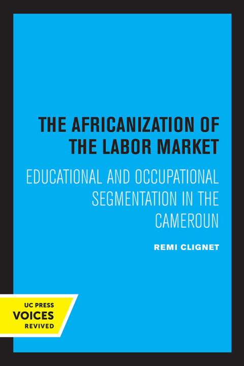 Cover image for book The Africanization of the Labor Market