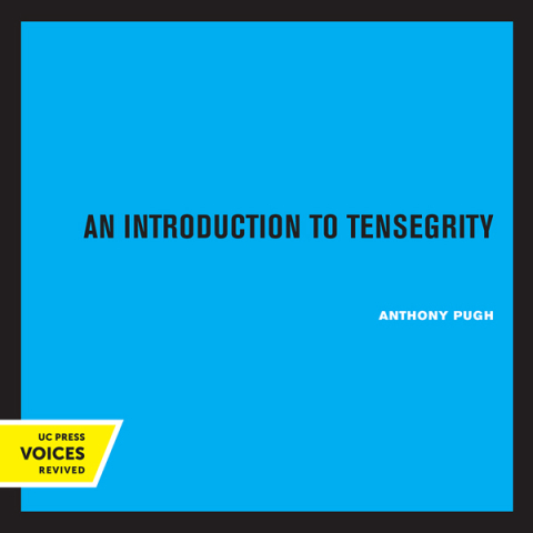 Cover image for book An Introduction to Tensegrity