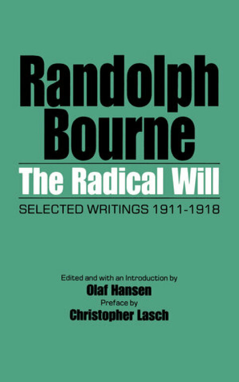 Cover image for book The Radical Will
