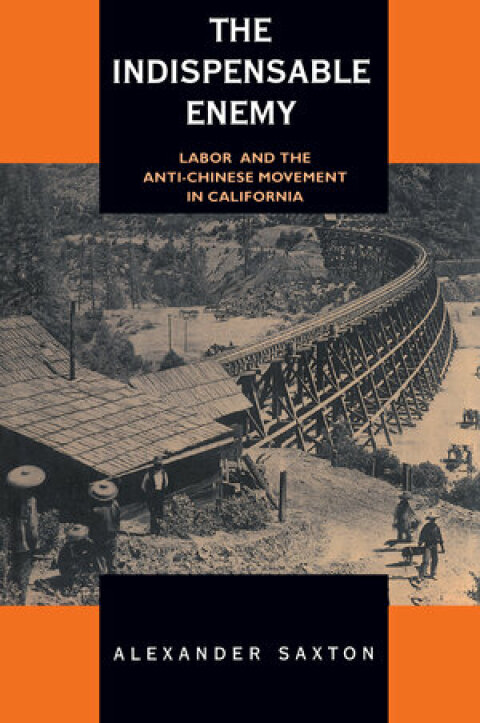 Cover image for book The Indispensable Enemy