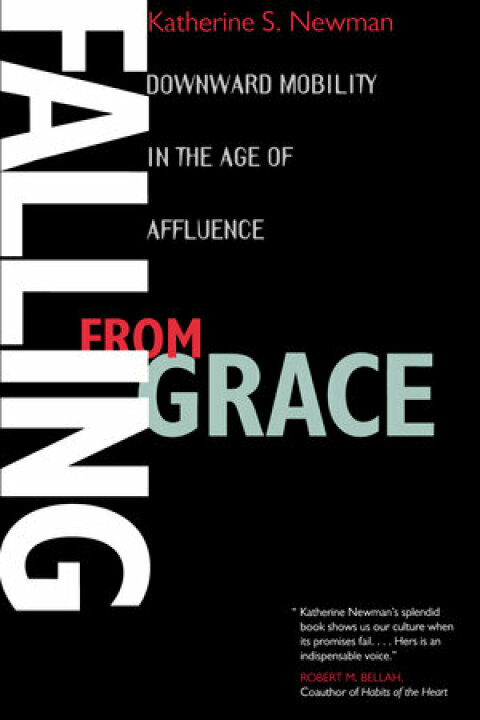 Cover image for book Falling from Grace