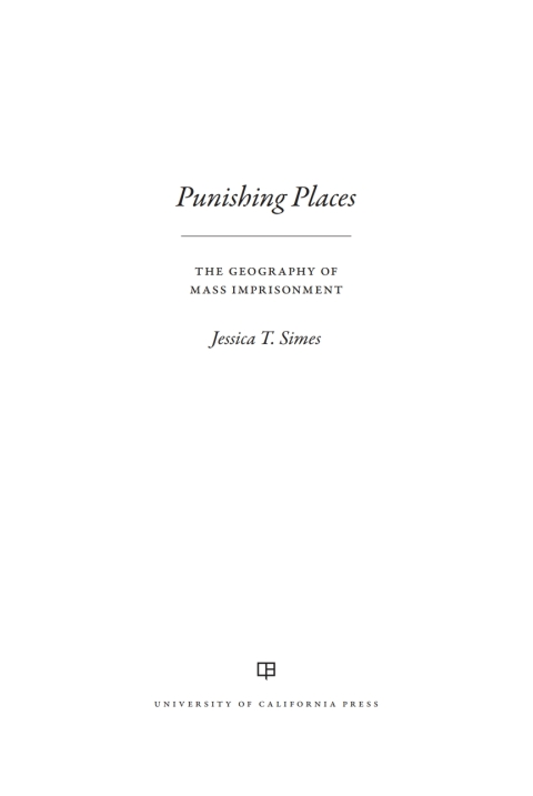 Cover image for book Punishing Places