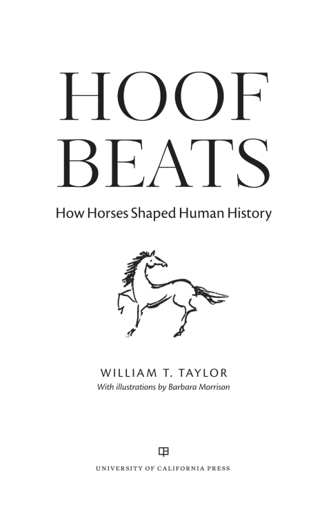 Cover image for book Hoof Beats