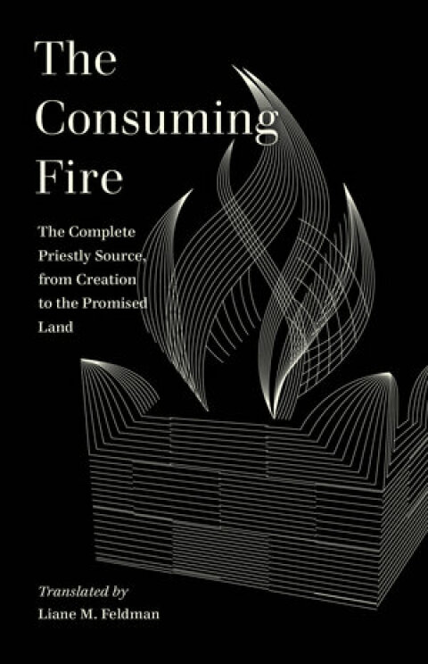 Cover image for book The Consuming Fire