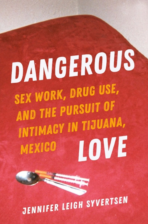 Cover image for book Dangerous Love