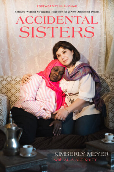Cover image for book Accidental Sisters