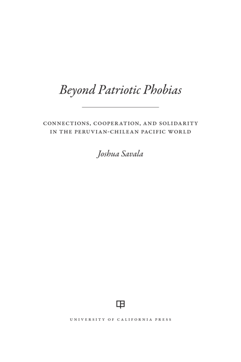 Cover image for book Beyond Patriotic Phobias