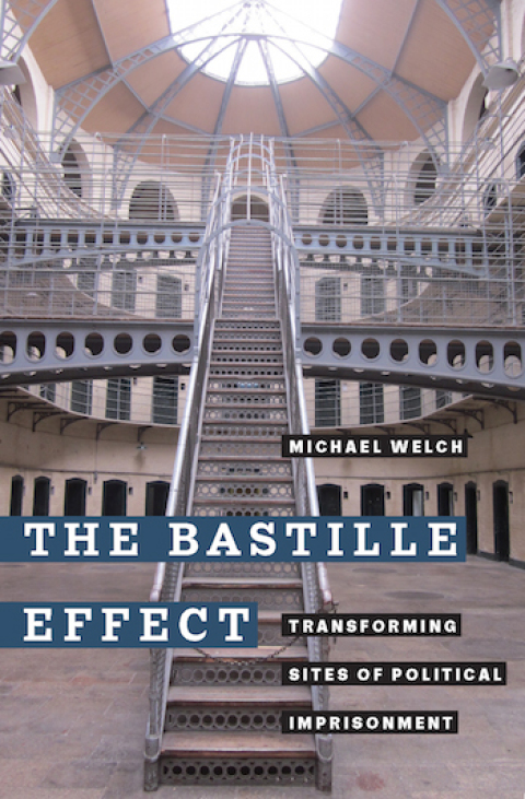 Cover image for book The Bastille Effect
