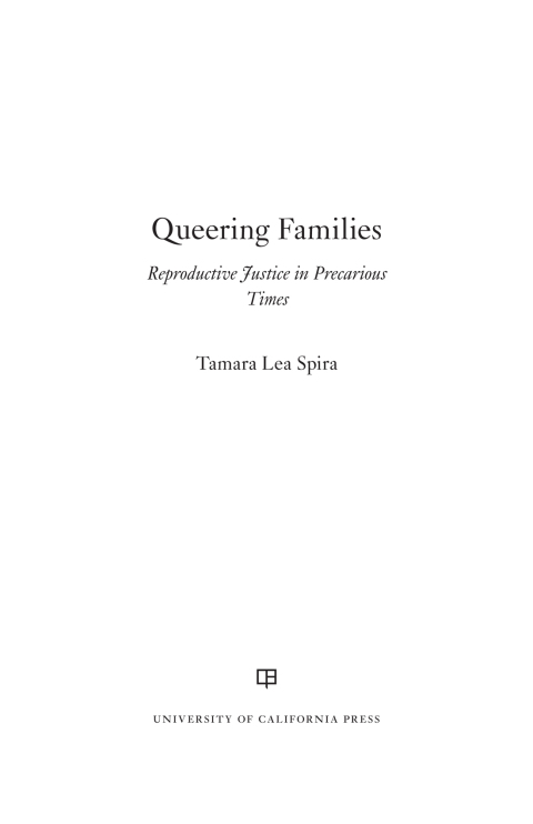 Cover image for book Queering Families