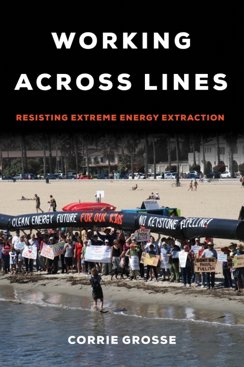 Cover image for book Working across Lines