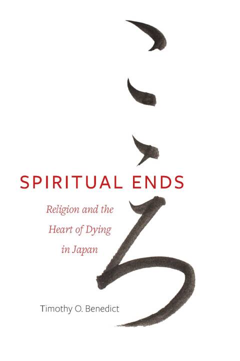 Cover image for book Spiritual Ends