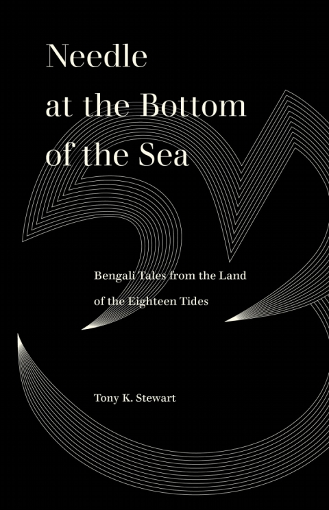 Cover image for book Needle at the Bottom of the Sea