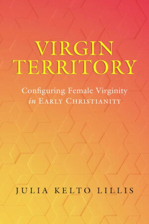 Cover image for book Virgin Territory