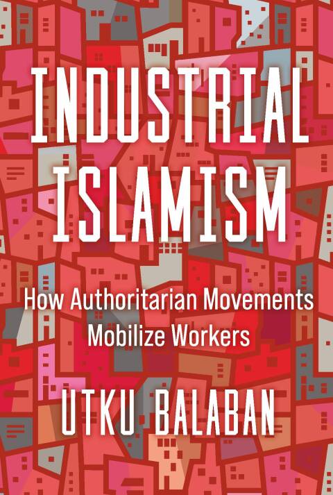 Cover image for book Industrial Islamism