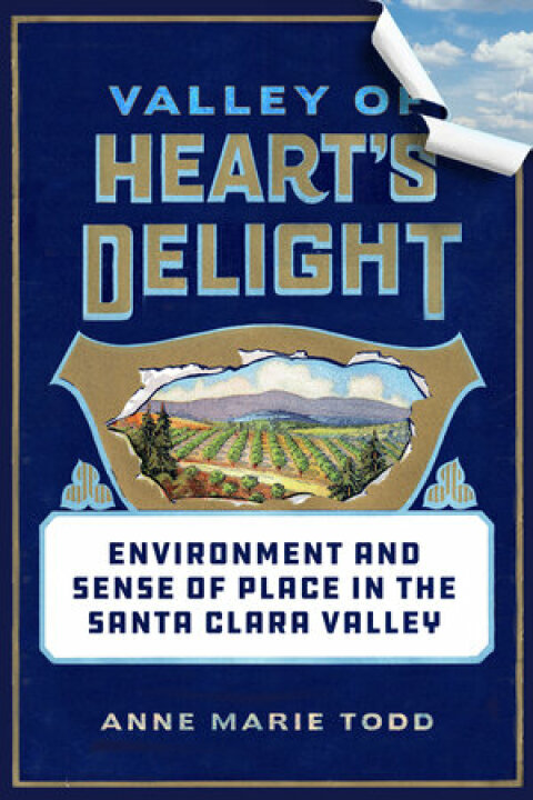 Cover image for book Valley of Heart's Delight