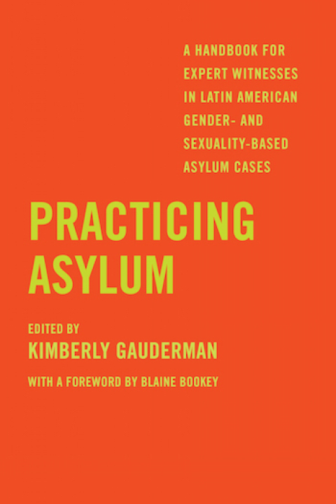 Cover image for book Practicing Asylum