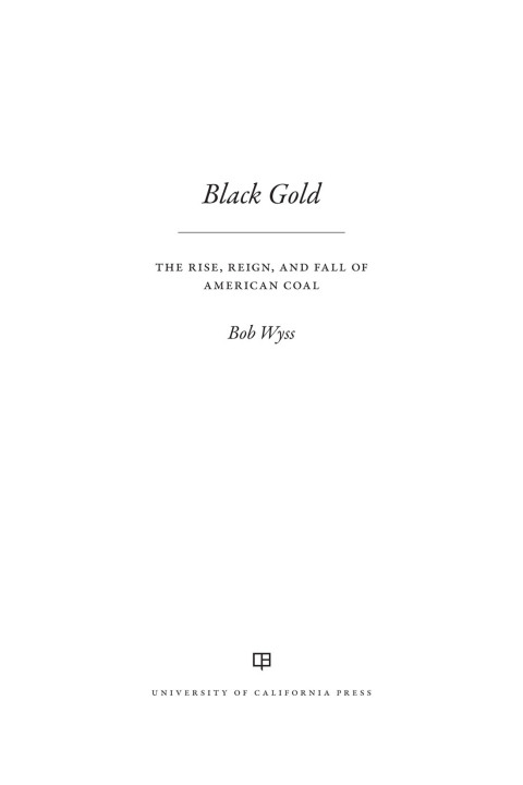Cover image for book Black Gold