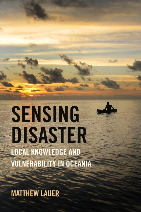 Cover image for book Sensing Disaster