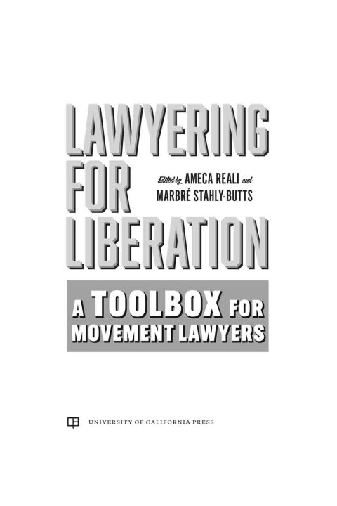 Cover image for book Lawyering for Liberation