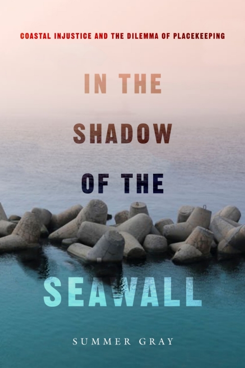 Cover image for book In the Shadow of the Seawall