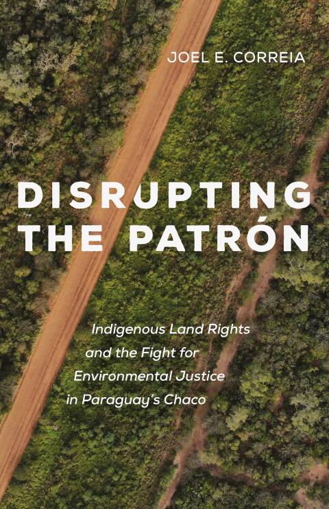 Cover image for book Disrupting the Patron