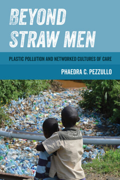 Cover image for book Beyond Straw Men