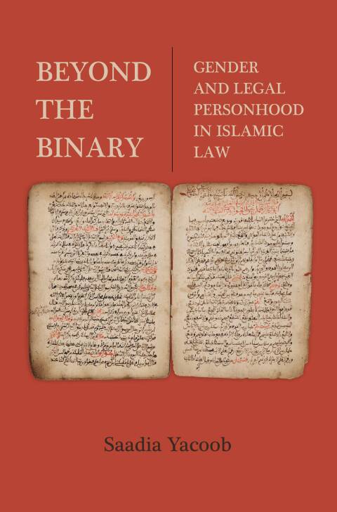 Cover image for book Beyond the Binary