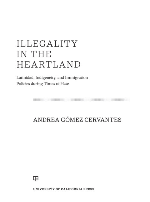 Cover image for book Illegality in the Heartland