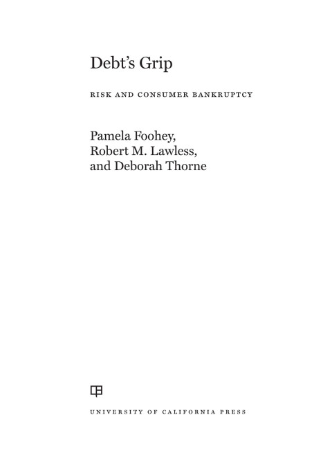 Cover image for book Debt's Grip