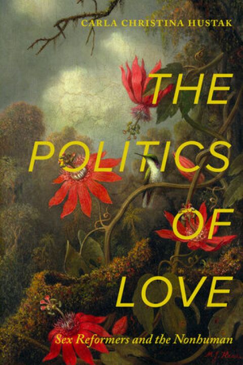 Cover image for book The Politics of Love
