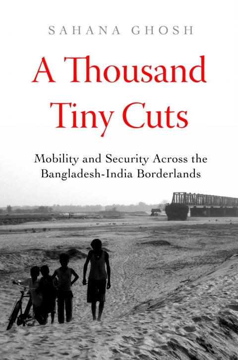 Cover image for book A Thousand Tiny Cuts