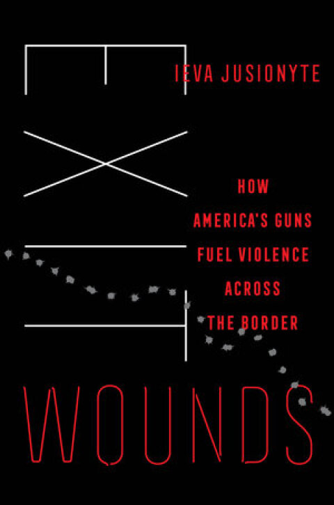 Cover image for book Exit Wounds